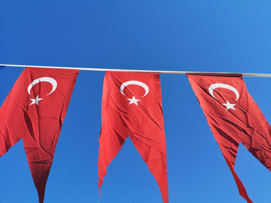 Inflation in der Türkei: Analyse Gründe